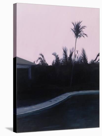 Susan's and Roy's Pool-Alessandro Raho-Stretched Canvas