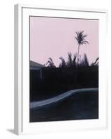 Susan's and Roy's Pool-Alessandro Raho-Framed Giclee Print