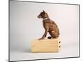 Wood Mount