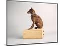 Wood Mount