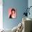 Susan Saint James-null-Photo displayed on a wall