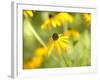 Susan Study I-James McLoughlin-Framed Photographic Print