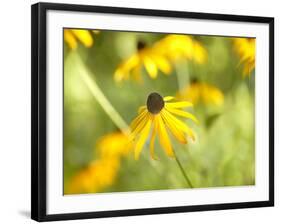 Susan Study I-James McLoughlin-Framed Photographic Print