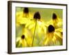 Susan Study II-James McLoughlin-Framed Photographic Print