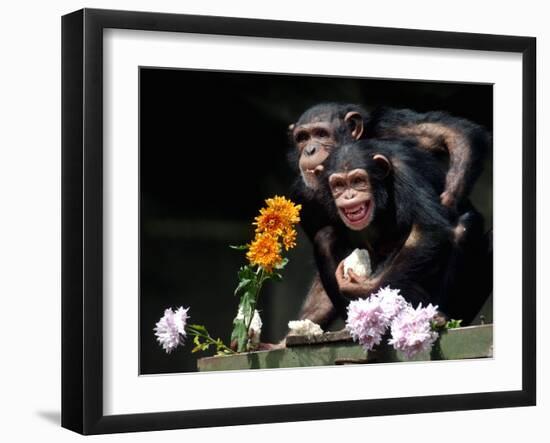 Susana and Gombe-null-Framed Photographic Print