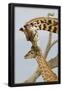 Essential Black