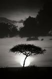 Kenya Sunrise-Susann Parker-Photographic Print