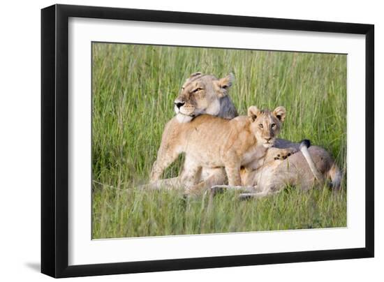 Premium Photographic Print, , large