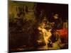 Susanna and the Elders, 1647 (Oil on Mahogany Panel)-Rembrandt van Rijn-Mounted Premium Giclee Print