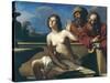 Susanna and the Elders-Guercino (Giovanni Francesco Barbieri)-Stretched Canvas