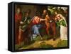 Susanna and the Prophet Daniel-Titian (Tiziano Vecelli)-Framed Stretched Canvas