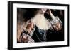 Susanna Hope-Joseph Wright of Derby-Framed Giclee Print