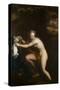 Susannah at her Bath, seventeenth century-null-Stretched Canvas