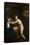 Susannah at her Bath, seventeenth century-null-Framed Stretched Canvas