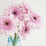 Pretty Pink Daisies-Susannah Tucker-Art Print