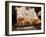 Sushi Chef Presents a Plate of Various Seafood Sushi, Japan, Asia-Aaron McCoy-Framed Photographic Print