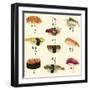 Sushi I-Melissa Wang-Framed Art Print