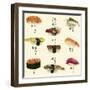 Sushi I-Melissa Wang-Framed Art Print