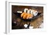 Sushi-JanPietruszka-Framed Photographic Print