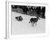 Susie Alexander Skimming Down the Starting Chute on Her 58-Second Winning Run-null-Framed Photographic Print