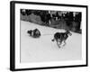 Susie Alexander Skimming Down the Starting Chute on Her 58-Second Winning Run-null-Framed Photographic Print