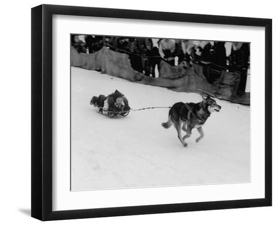 Premium Photographic Print, , large