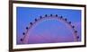 Suspended Animation-Adrian Campfield-Framed Photographic Print