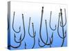 Suspended Fishing Hooks-null-Stretched Canvas