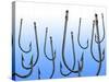 Suspended Fishing Hooks-null-Stretched Canvas
