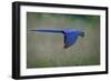 Suspended-Greg Barsh-Framed Photographic Print