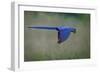 Suspended-Greg Barsh-Framed Photographic Print