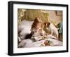 Suspense, 1894-Charles Burton Barber-Framed Giclee Print