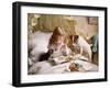 Suspense-Charles Burton Barber-Framed Giclee Print