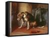 Suspense-Edwin Henry Landseer-Framed Stretched Canvas