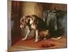 Suspense-Edwin Henry Landseer-Mounted Giclee Print