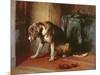 Suspense-Edwin Henry Landseer-Mounted Giclee Print