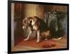 Suspense-Edwin Henry Landseer-Framed Giclee Print