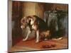 Suspense-Edwin Henry Landseer-Mounted Premium Giclee Print