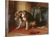 Suspense-Edwin Henry Landseer-Stretched Canvas