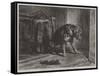 Suspense-Edwin Landseer-Framed Stretched Canvas