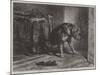 Suspense-Edwin Landseer-Mounted Giclee Print