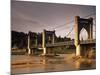 Suspension Bridge Across the River Loire, Langeais, Indre-Et-Loire, Centre, France-David Hughes-Mounted Photographic Print