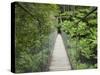 Suspension Bridge and Rainforest, Tarra Bulga National Park, Victoria, Australia, Pacific-Schlenker Jochen-Stretched Canvas