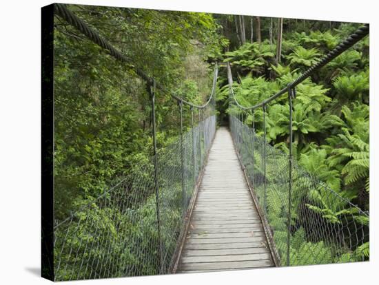 Suspension Bridge and Rainforest, Tarra Bulga National Park, Victoria, Australia, Pacific-Schlenker Jochen-Stretched Canvas