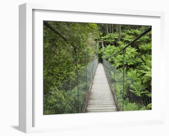 Suspension Bridge and Rainforest, Tarra Bulga National Park, Victoria, Australia, Pacific-Schlenker Jochen-Framed Photographic Print