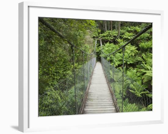 Suspension Bridge and Rainforest, Tarra Bulga National Park, Victoria, Australia, Pacific-Schlenker Jochen-Framed Photographic Print