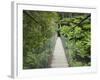 Suspension Bridge and Rainforest, Tarra Bulga National Park, Victoria, Australia, Pacific-Schlenker Jochen-Framed Photographic Print