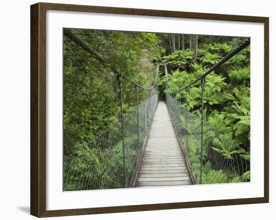 Suspension Bridge and Rainforest, Tarra Bulga National Park, Victoria, Australia, Pacific-Schlenker Jochen-Framed Photographic Print