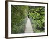 Suspension Bridge and Rainforest, Tarra Bulga National Park, Victoria, Australia, Pacific-Schlenker Jochen-Framed Photographic Print