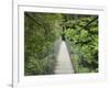 Suspension Bridge and Rainforest, Tarra Bulga National Park, Victoria, Australia, Pacific-Schlenker Jochen-Framed Photographic Print